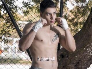 AdamBull