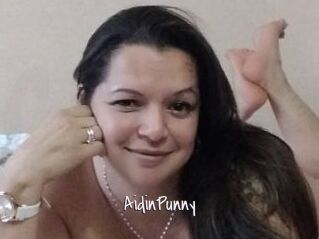 AidinPunny