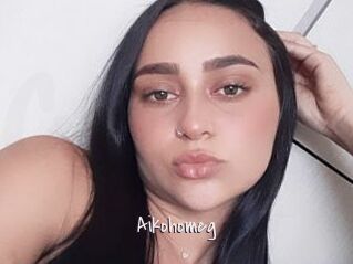 Aikohomeg