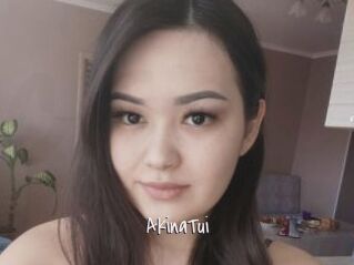 AkinaTui