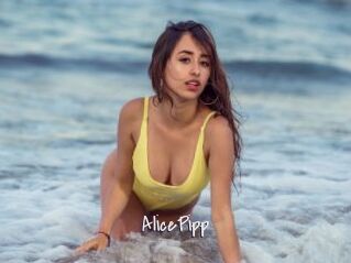 AlicePipp