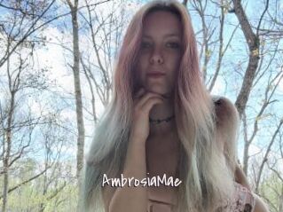 AmbrosiaMae