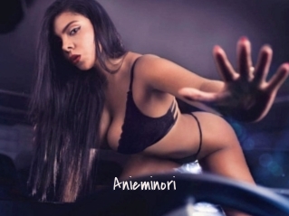 Anieminori