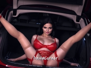AnisiaCorner