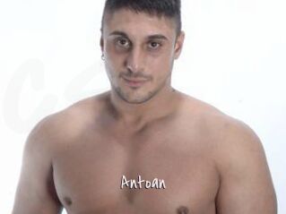 Antoan