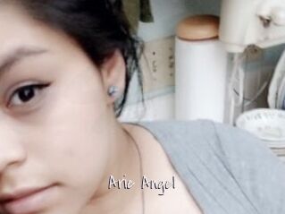 Arie_Angel