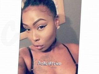 Acacia_rowe
