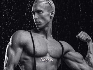 Adonis_