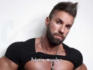 Adonis_muscles