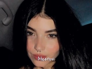Alicerosi