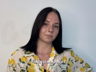 Alodiecommander