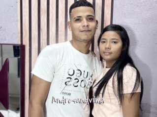 Andresandvilma