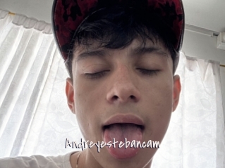 Andreyestebancam