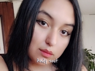 Andy_sout