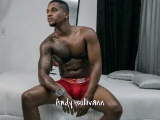 Andy_sullivann
