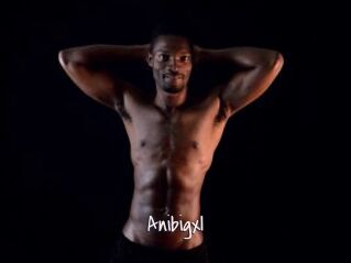 Anibigxl