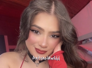 Antonelawildd