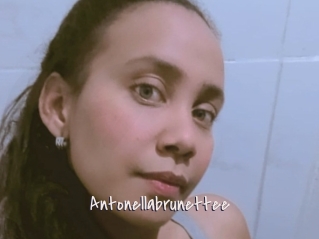 Antonellabrunettee