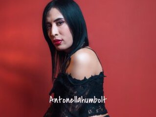 Antonellahumbolt