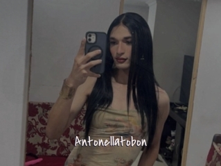 Antonellatobon