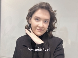 Antoniacavell