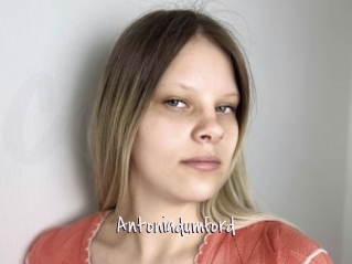 Antoniadumford