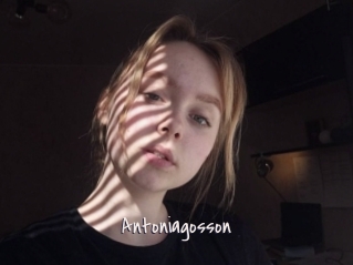 Antoniagosson