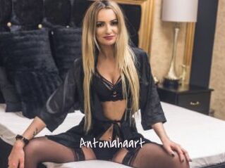 Antoniahaart