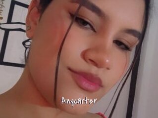 Anycarter