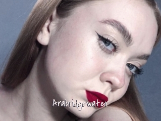 Arabridgewater