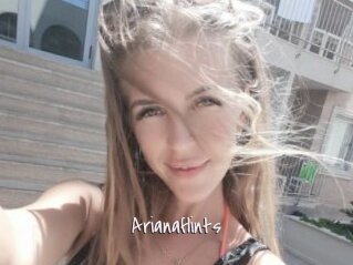 Arianaflints