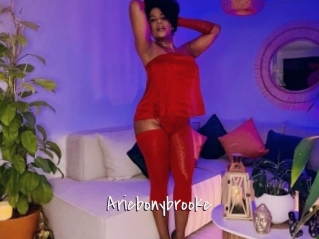 Ariebonybrooke