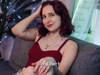Arielflatt