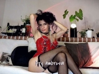 Ary_ambrosia