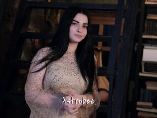 Astrobee