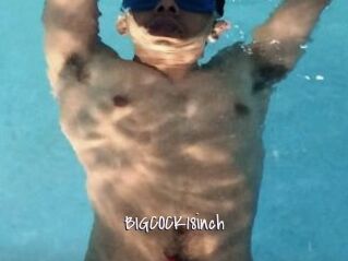 BIGCOCK18inch