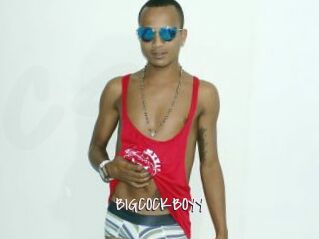 BIGCOCKBOYY