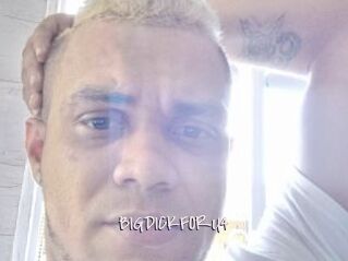 BIGDICKFORU4