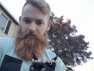 Beardedginger