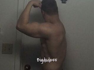 Bigdude55