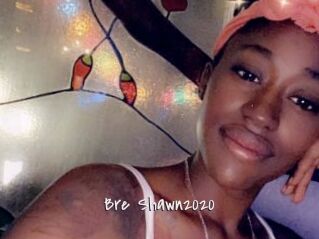 Bre_Shawn2020