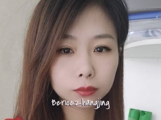 Bericezhangjing