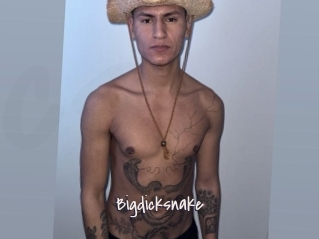 Bigdicksnake