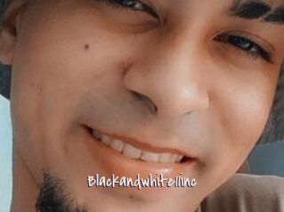 Blackandwhite11inc