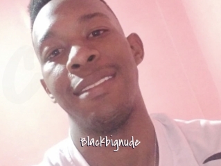Blackbignude
