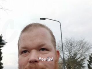 Boedha