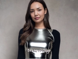 Breeestridge