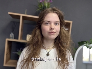 Brimladevetts
