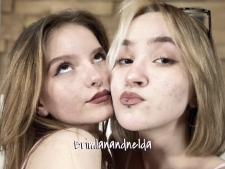 Brimlanandnelda