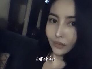 CakeRise